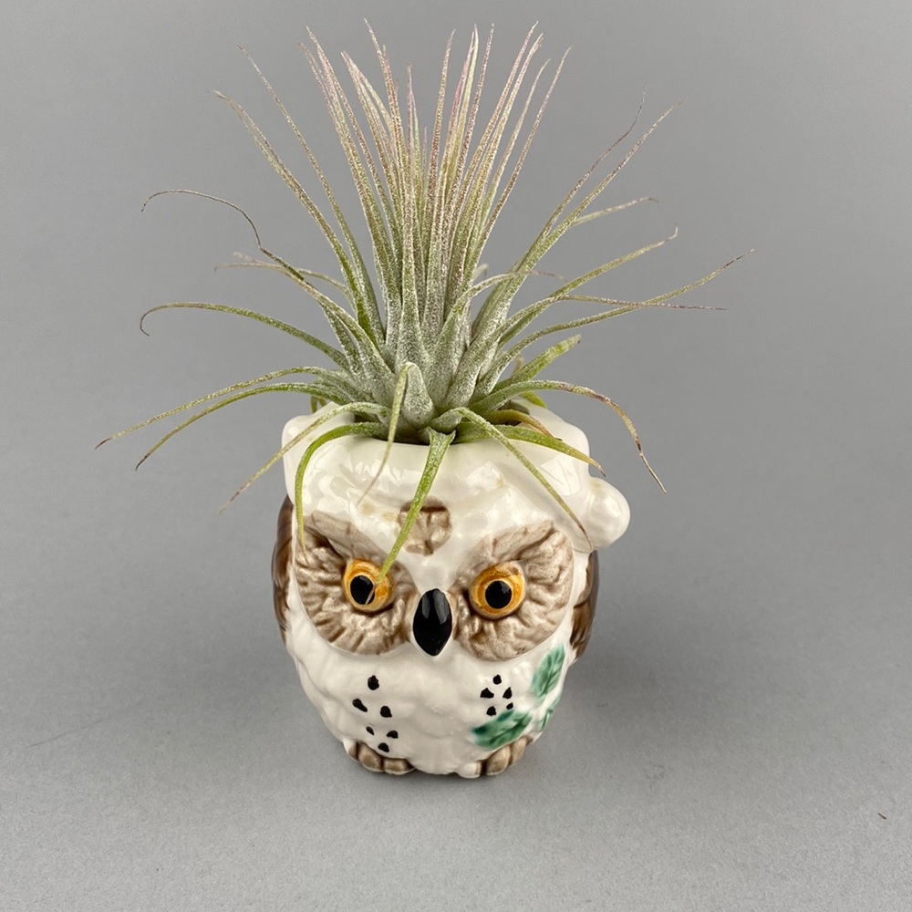 Vintage Small Owl planter ca. 1970s Japan